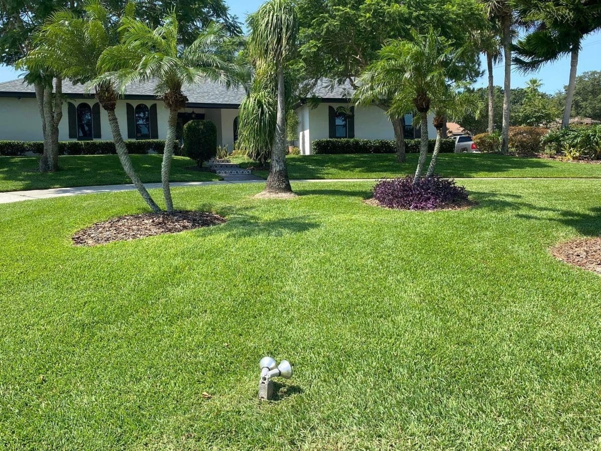 Expert Lawn Services irrigation guide