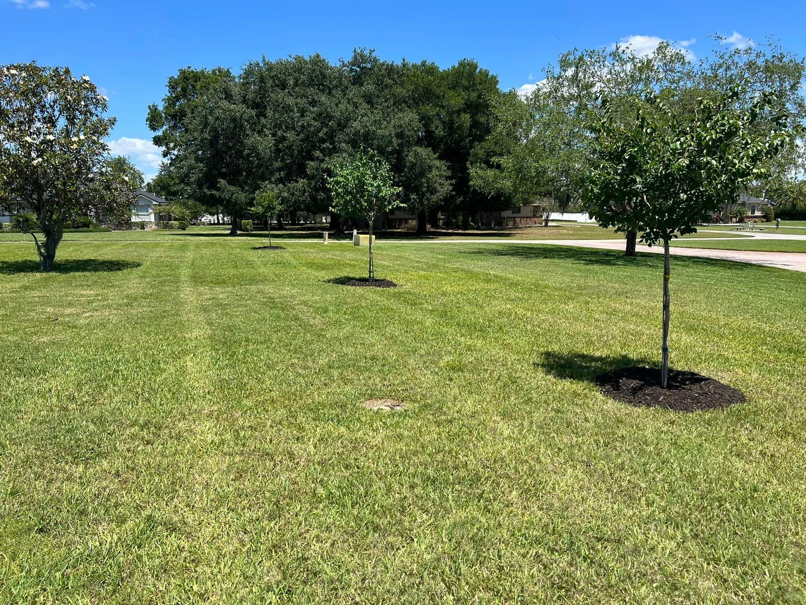 Professional Lawn Mowing Services Lakeland Fl weed control strategies