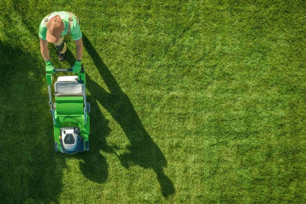 Essential Lawn Maintenance Tips for the Florida Climate_ Insights from Lakeland Experts lawn mowing contractor