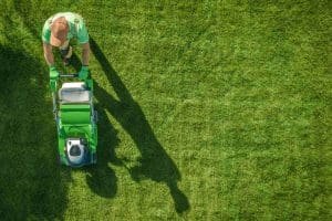 Lawn Maintenance Lakeland