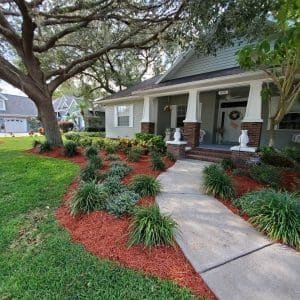 tree mulching service