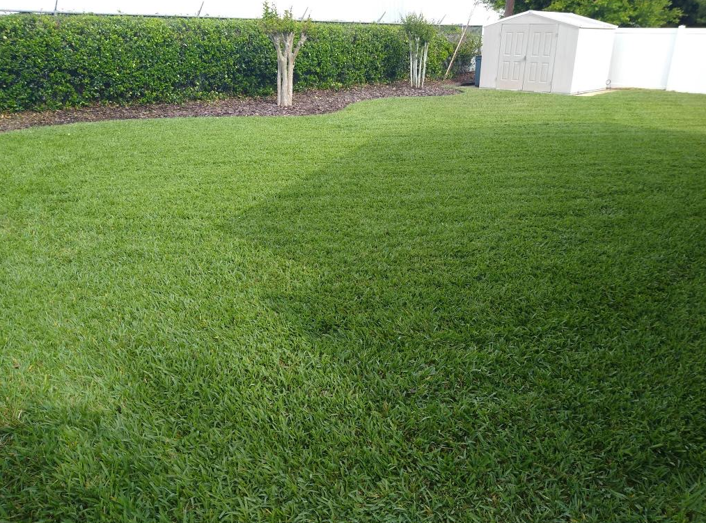 Lawn in Bartow