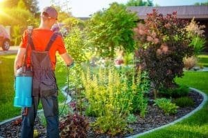 landscape maintenance