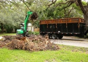 yard cleanup and landscaping