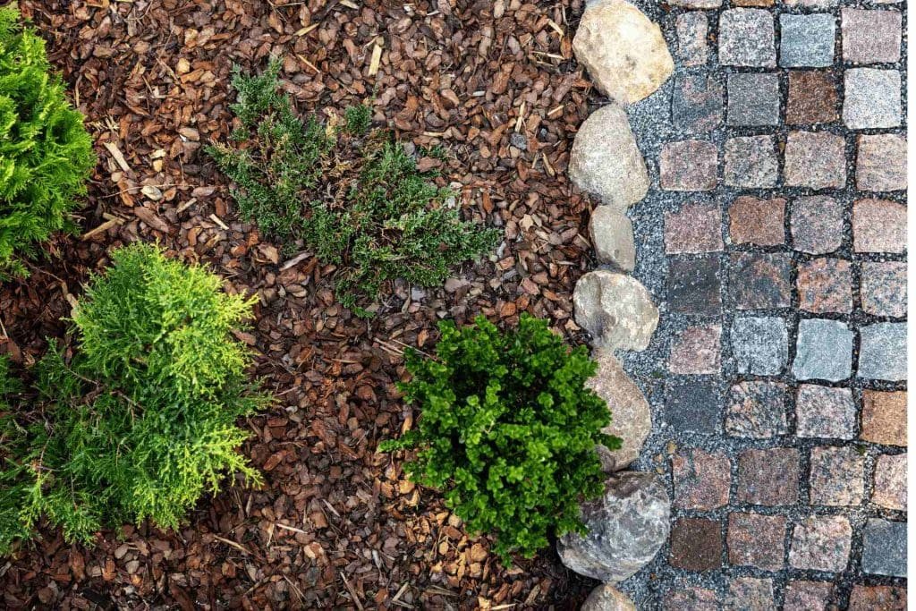 Mulching Weed Control (1) Lawn Mulching Lakeland, FL