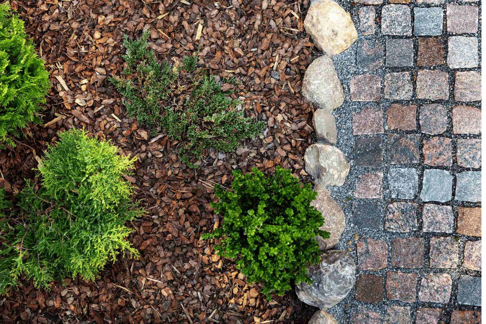 Lawn Mulching Lakeland, FL