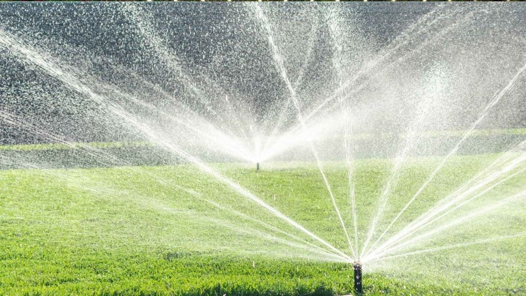 Sprinkler startups in Florida