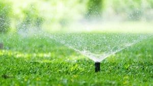 sprinkler startups