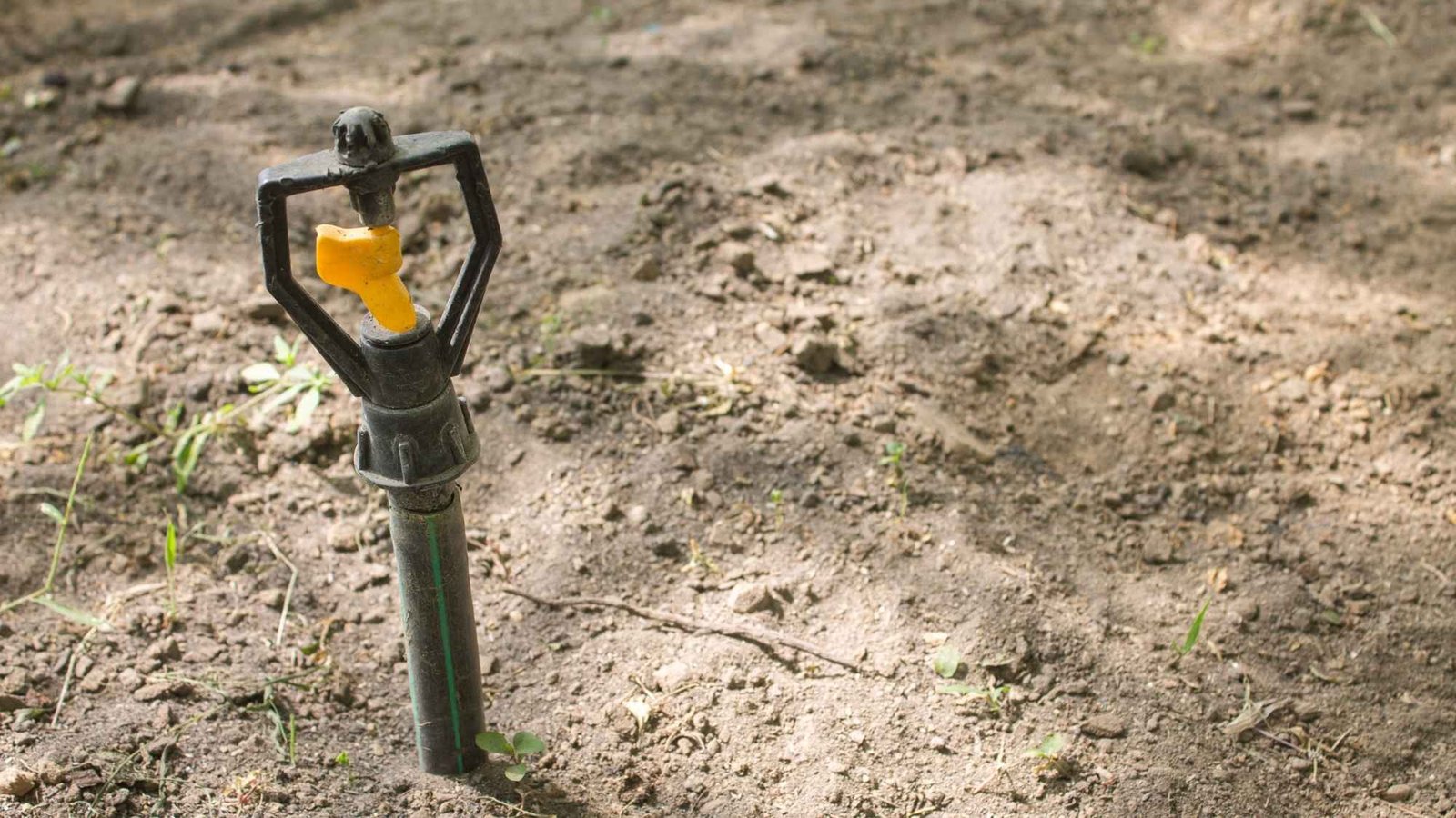 16×9 Sprinkler Repair Lakeland FL