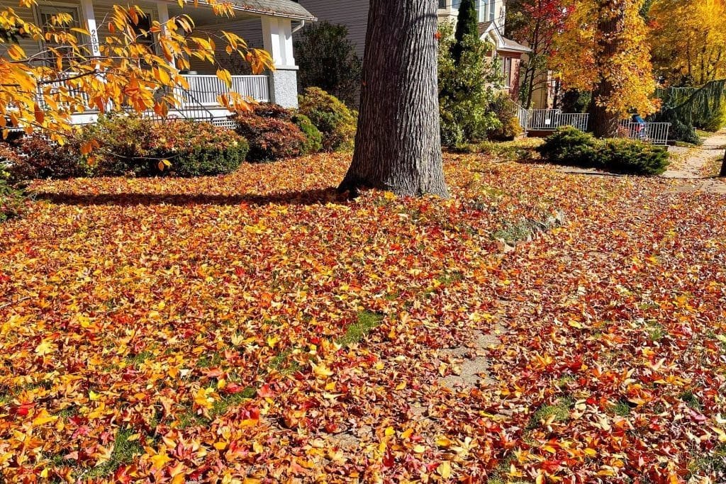 GettyImages-1437563341-e1694527285343