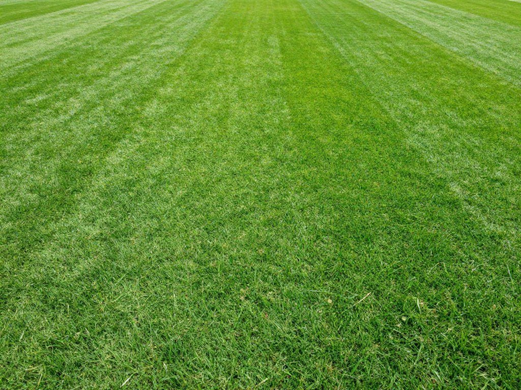 Bermuda grass sod professional installation Polk County