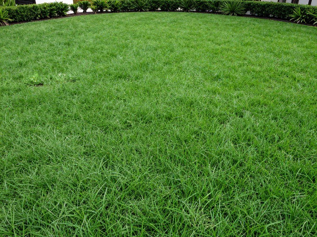 Zoysia grass sod installation service Lakeland