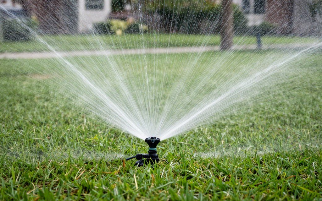 proper lawn watering Plant City